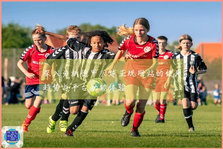 深入分析德甲买球正规网站的使用趋势与平台功能体验