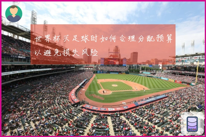 世界杯买足球时如何合理分配预算以避免损失风险
