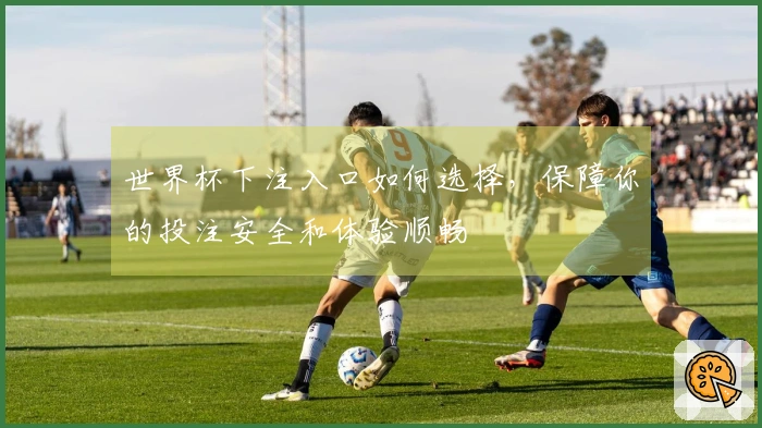 世界杯下注入口如何选择，保障你的投注安全和体验顺畅