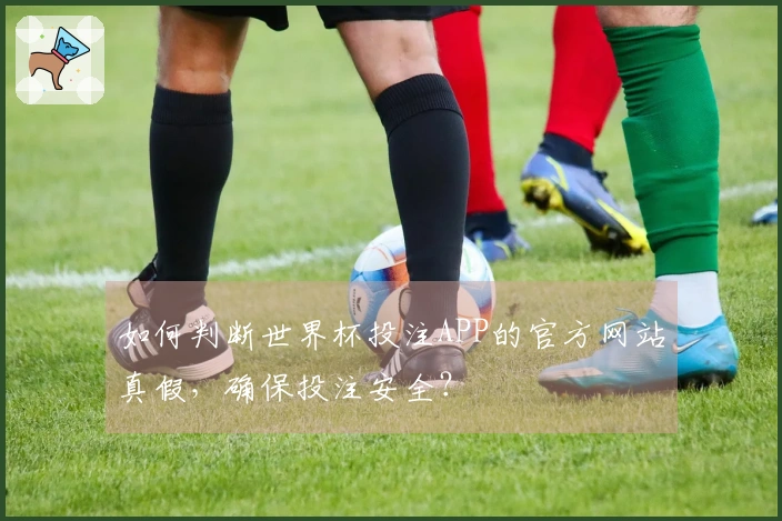 如何判断世界杯投注APP的官方网站真假，确保投注安全？