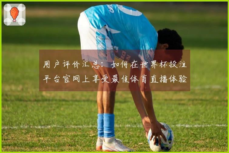 用户评价汇总：如何在世界杯投注平台官网上享受最佳体育直播体验