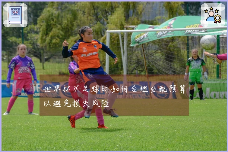 世界杯买足球时如何合理分配预算以避免损失风险