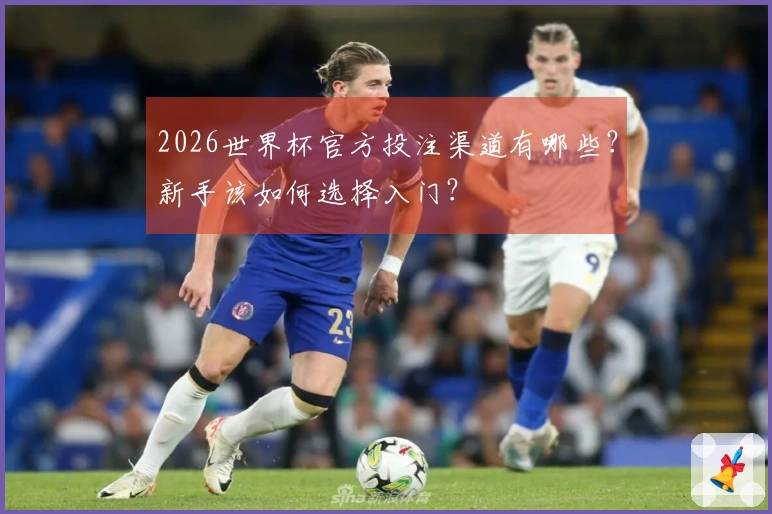 2026世界杯官方投注渠道有哪些？新手该如何选择入门？