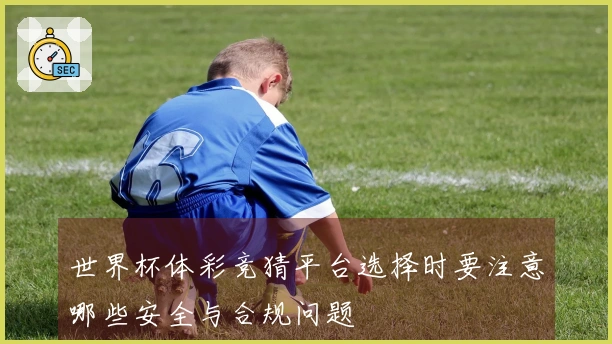 世界杯体彩竞猜平台选择时要注意哪些安全与合规问题