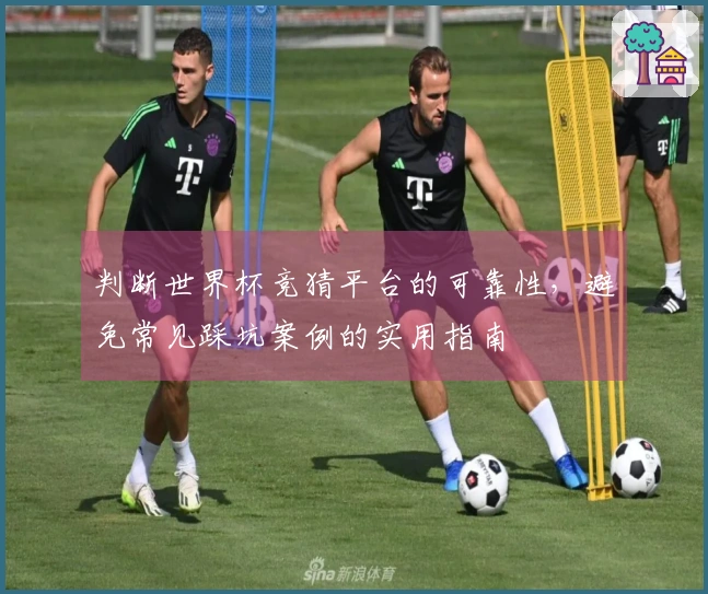 判断世界杯竞猜平台的可靠性，避免常见踩坑案例的实用指南