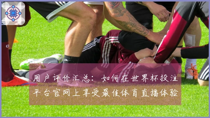 用户评价汇总：如何在世界杯投注平台官网上享受最佳体育直播体验