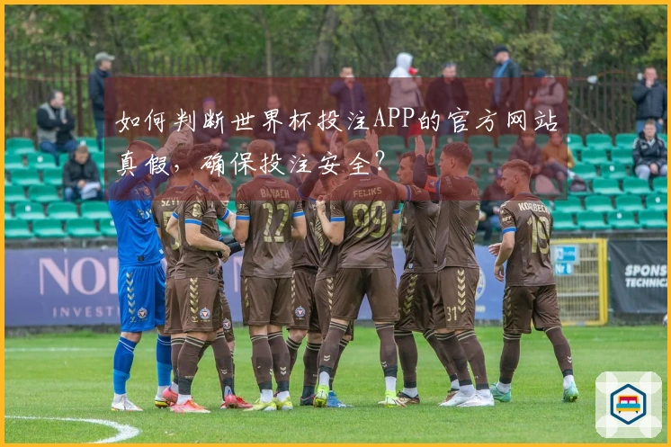 如何判断世界杯投注APP的官方网站真假，确保投注安全？
