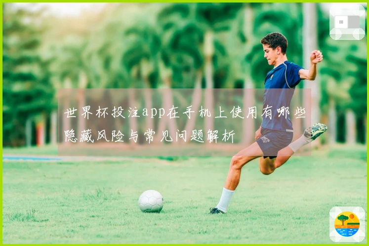 世界杯投注app在手机上使用有哪些隐藏风险与常见问题解析