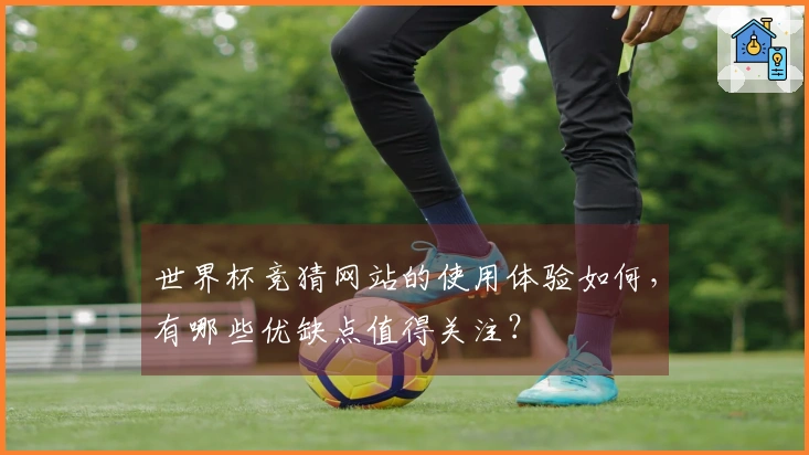 世界杯竞猜网站的使用体验如何，有哪些优缺点值得关注？