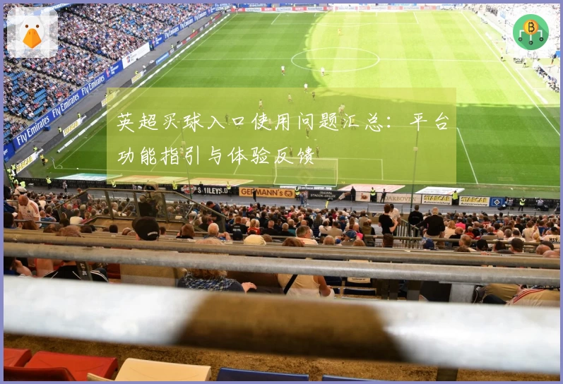 英超买球入口使用问题汇总：平台功能指引与体验反馈