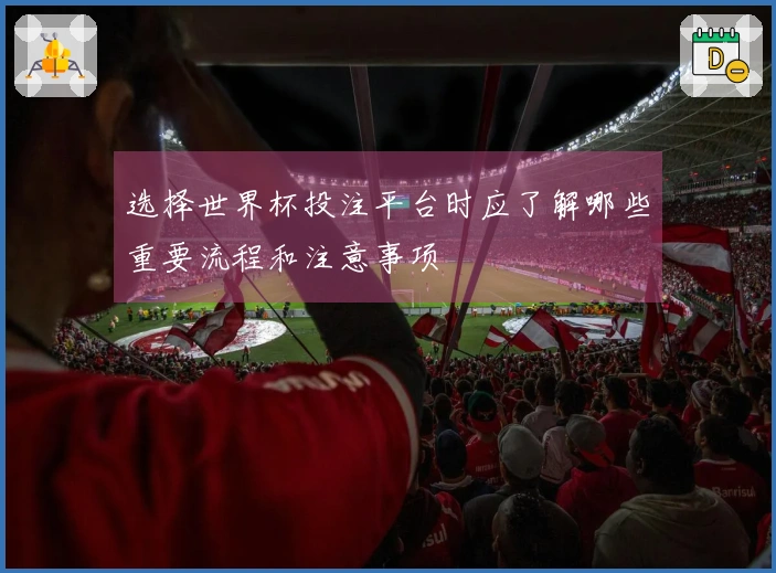 选择世界杯投注平台时应了解哪些重要流程和注意事项