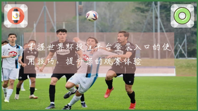 掌握世界杯投注平台登录入口的使用技巧，提升您的观赛体验