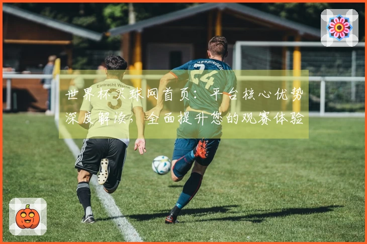 世界杯买球网首页：平台核心优势深度解读，全面提升您的观赛体验