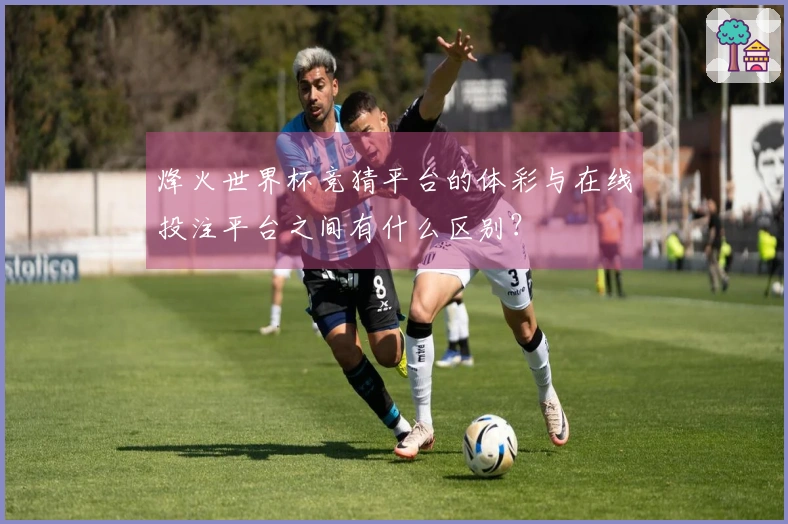 烽火世界杯竞猜平台的体彩与在线投注平台之间有什么区别？