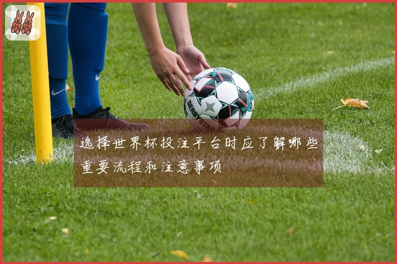 选择世界杯投注平台时应了解哪些重要流程和注意事项