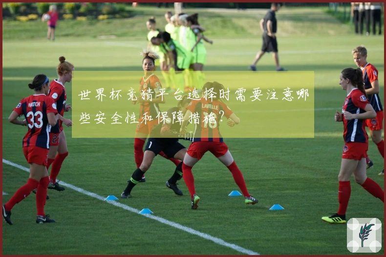 世界杯竞猜平台选择时需要注意哪些安全性和保障措施?