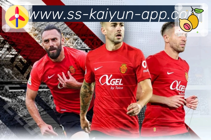 <strong>开云</strong>App QR Code